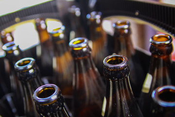 Close up of brown empty beer bottles in a case