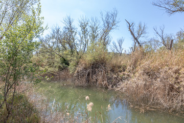 Paisajes de la ribera del rio ebro en flix - Ribera d'ebre - Tarragona