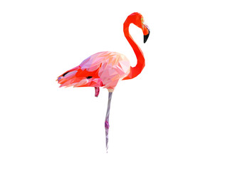 Flamingo Triangle Illustration