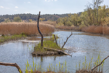 Paisajes de la ribera del rio ebro en flix - Ribera d'ebre - Tarragona