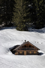 Wooden cabin surrounded by snow