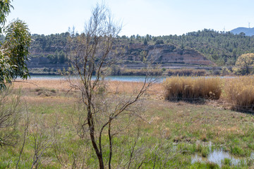 Paisajes de la ribera del rio ebro en flix - Ribera d'ebre - Tarragona