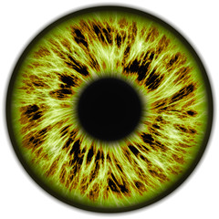 Illustration of a human iris. Digital artwork creative graphic design.