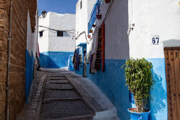 Fototapeta premium blue and white streets of Morocco