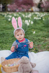 Little cute girl sitting on the grass near the daffodils. Girl in the costume of the Easter Bunny.