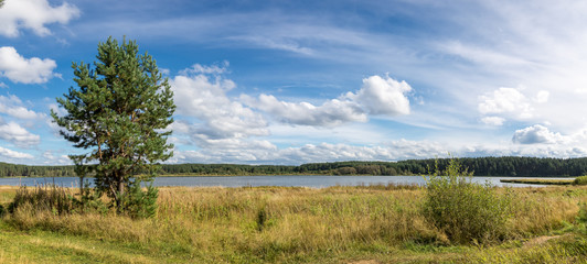panorama of the summer landscape on the Bank of the Ural river with forest, Russia, August