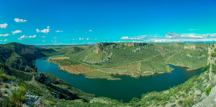 Selva oza