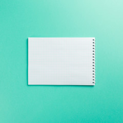 Blank notebook on Mint background. Top view. Flat lay. Copy space. Colorful background. Neo Mint...
