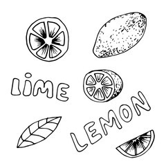 Lemon and lime icons set in hand drawn style