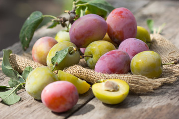 Plum harvest. Plums in the basket on the wooden old table