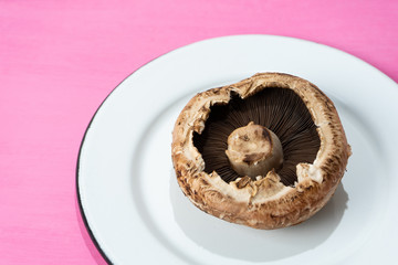 Portobello mushroom  on colorful background