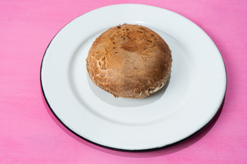 Portobello mushroom  on colorful background
