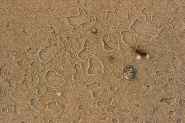 drops on sand