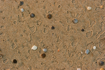 drops on sand