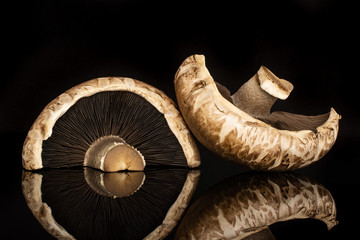 Group of two halves of meaty fresh brown mushroom portobello isolated on black glass