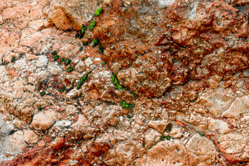 Rough stone texture.