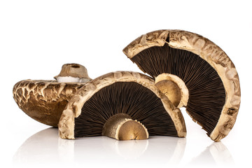 Group of one whole two halves of raw fresh brown mushroom portobello isolated on white background