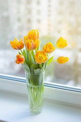 Spring tulips  in a vase near the window