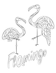 Flamingo silhouettes set isolated on white. Flamingo silhouettes set isolated on white. Vector illustration