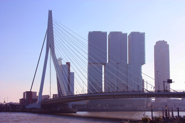 The famous Erasmus Bridge amidst the mist on a late autumn day in Rotterdam, Holland, the Netherlands