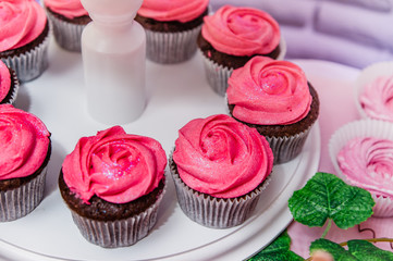 chocolate cupcakes with pink cream