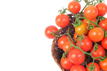 Small Tomato on white background.Food concept.