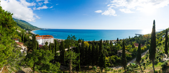 landscape with lake and trees