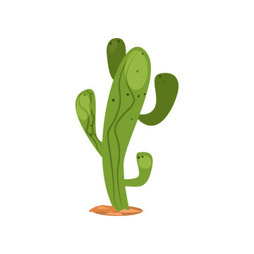 Mexican cactus illustration. Nature, plant, mexican. Nature concept. Vector illustration can be used for topics like desert, landscape, botany