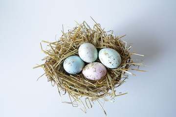 Obraz premium Easter eggs in nest on light blue background. With copy space for text. Flat lay. Top view.