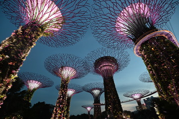 Garden by the Bay Singapore