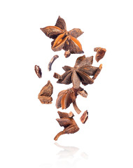 Crushed anise in the air close up on a white background