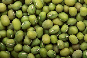 Green bean or mung bean background.Food nature texture .Background