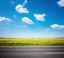 Asphalt road among the summer field under blue cloudy sky - 260828072