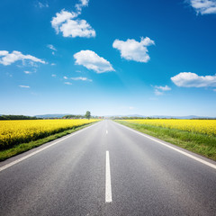 Asphalt road among the summer field under blue cloudy sky - 260828087