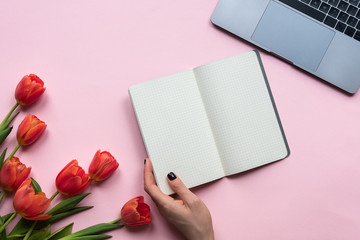 Obraz premium Notebook with female hand, laptop and red flowers on pink background