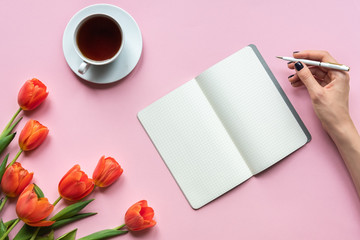 Notebook and tulips on pink background. Place for your texy
