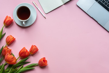 Red tulips with cup of tea, laptop and notebook on pink background. Copy space