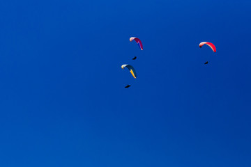 Paraglider in the sky