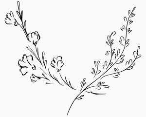 Fototapeta premium Hand Drawn Vector Illustrations Of Two Branches With Flowers and Leaves Isolated on White. Hand Drawn Sketch of a Flowers.