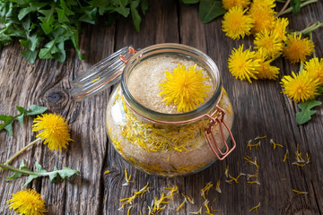 Preparation of dandelion syrup from fresh dandelions
