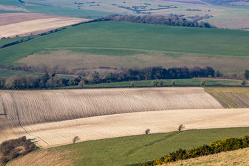 A full frame photograph of fields in the South Downs in Sussex