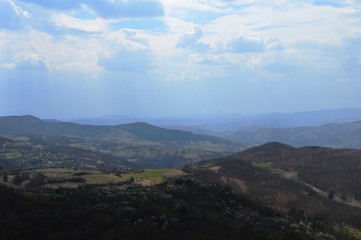 landscape in the spring