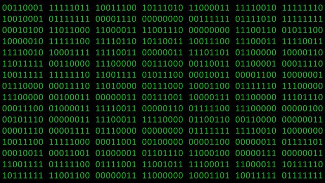 Binary code background with digits moving on screen. Algorithm binary, data code, decryption and encoding, row matrix seamless loop abstract background.