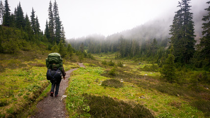 A backpacker on a trail through lush green meadow and trees.