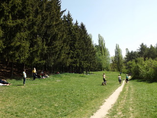 golfers walking in the park