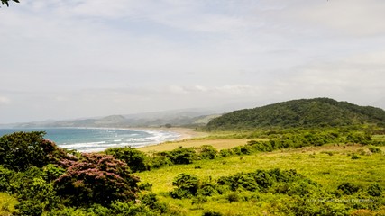 Playa del Golfo de México 