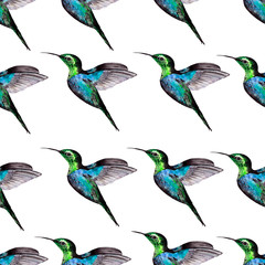 Watercolor seamless pattern with exotic painted Hummingbird birds. Illustration for Wallpaper, original backgrounds, textiles and packaging.