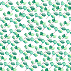 Watercolor pattern with green branches of eucalyptus. Environmental background for textiles, packaging or Wallpaper.