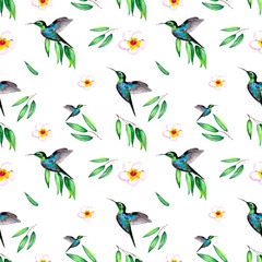 Delicate watercolor pattern with flowers, eucalyptus leaves and rare Hummingbird birds. Abstract background for textiles, Wallpaper or wrapping.