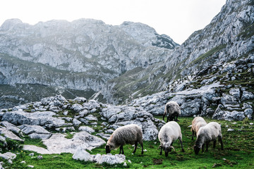 Backpacking in Durmitor National Park in Montenegro
